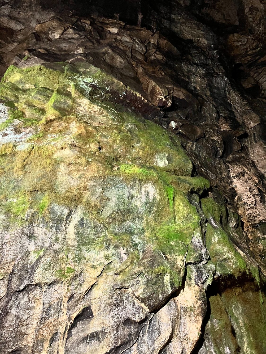 Rock wall with green mineral and moss-like staining.